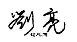 朱錫榮劉亮草書個性簽名怎么寫