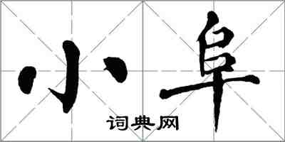 翁闓運小阜楷書怎么寫