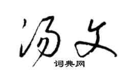 梁錦英湯文草書個性簽名怎么寫