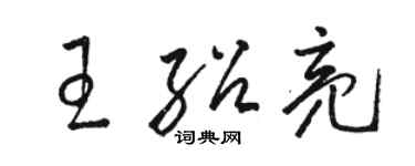 駱恆光王紹亮草書個性簽名怎么寫