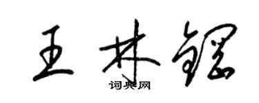 梁錦英王林鋼草書個性簽名怎么寫