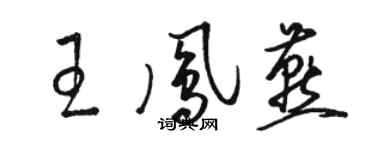 駱恆光王鳳燕草書個性簽名怎么寫