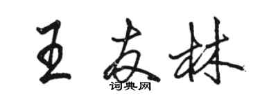 駱恆光王友林行書個性簽名怎么寫