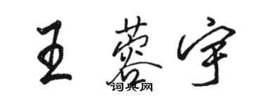 駱恆光王蓉宇行書個性簽名怎么寫