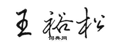 駱恆光王裕松行書個性簽名怎么寫