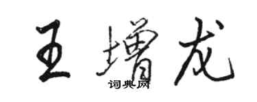 駱恆光王增龍行書個性簽名怎么寫