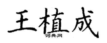 丁謙王植成楷書個性簽名怎么寫