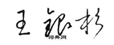 駱恆光王銀杉草書個性簽名怎么寫