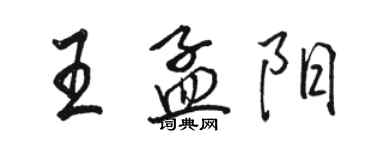 駱恆光王孟陽行書個性簽名怎么寫