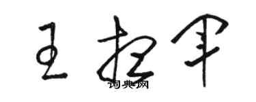 駱恆光王想軍草書個性簽名怎么寫