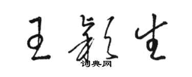 駱恆光王穎生草書個性簽名怎么寫