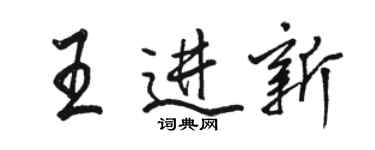 駱恆光王進新行書個性簽名怎么寫