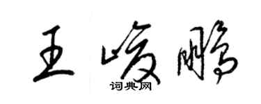 梁錦英王峻鵬草書個性簽名怎么寫