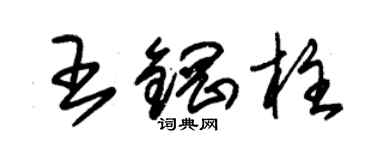 朱錫榮王鋼柱草書個性簽名怎么寫