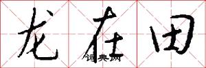 龍在田怎么寫好看