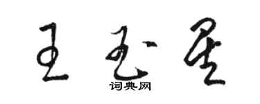 駱恆光王玉星草書個性簽名怎么寫