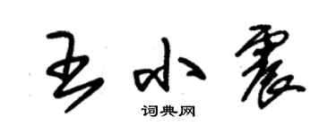 朱錫榮王小震草書個性簽名怎么寫