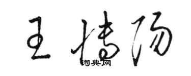 駱恆光王博陽草書個性簽名怎么寫