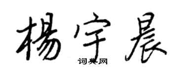 王正良楊宇晨行書個性簽名怎么寫