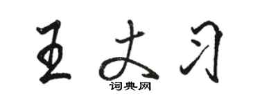 駱恆光王丈習行書個性簽名怎么寫