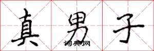 侯登峰真男子楷書怎么寫