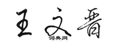 駱恆光王文晉行書個性簽名怎么寫