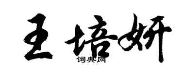胡問遂王培妍行書個性簽名怎么寫