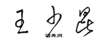 駱恆光王少昆草書個性簽名怎么寫