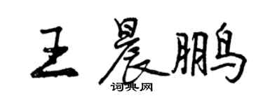 曾慶福王晨鵬行書個性簽名怎么寫