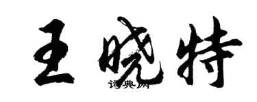 胡問遂王曉特行書個性簽名怎么寫