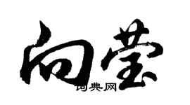 胡問遂向瑩行書個性簽名怎么寫