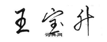 駱恆光王寶升行書個性簽名怎么寫