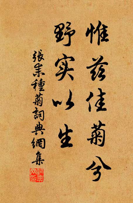 張耒惟茲佳菊兮,野實以生書法作品欣賞