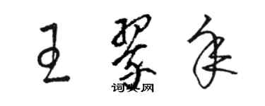 駱恆光王翠年草書個性簽名怎么寫