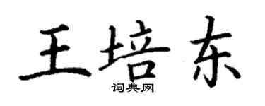 丁謙王培東楷書個性簽名怎么寫