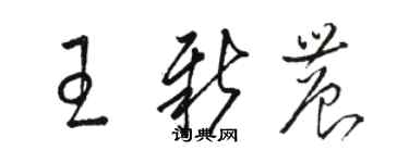 駱恆光王新農草書個性簽名怎么寫