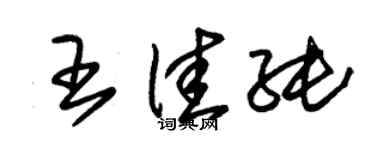朱錫榮王佳純草書個性簽名怎么寫