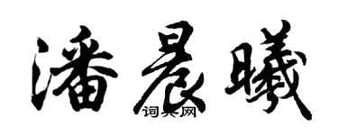 胡問遂潘晨曦行書個性簽名怎么寫