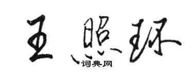 駱恆光王照環行書個性簽名怎么寫