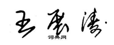 朱錫榮王展濤草書個性簽名怎么寫