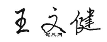 駱恆光王文健行書個性簽名怎么寫