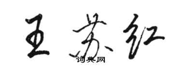 駱恆光王蘇紅行書個性簽名怎么寫