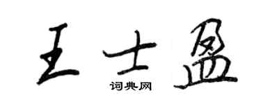 王正良王士盈行書個性簽名怎么寫