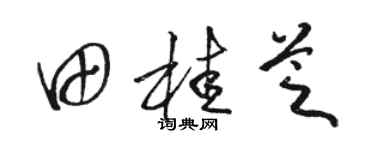 駱恆光田桂芝草書個性簽名怎么寫