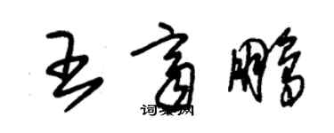 朱錫榮王齊鵬草書個性簽名怎么寫