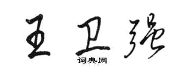 駱恆光王衛強行書個性簽名怎么寫