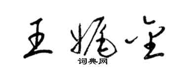 梁錦英王娓金草書個性簽名怎么寫