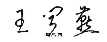 駱恆光王聞燕草書個性簽名怎么寫