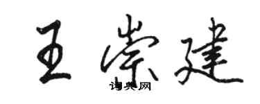 駱恆光王崇建行書個性簽名怎么寫