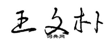 曾慶福王文朴草書個性簽名怎么寫